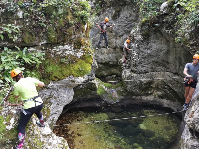 posvet posocje 2021 17